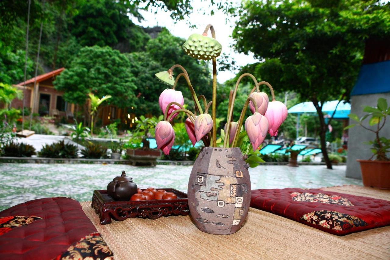 Tam Coc Valley Homestay Ninh Bình Extérieur photo