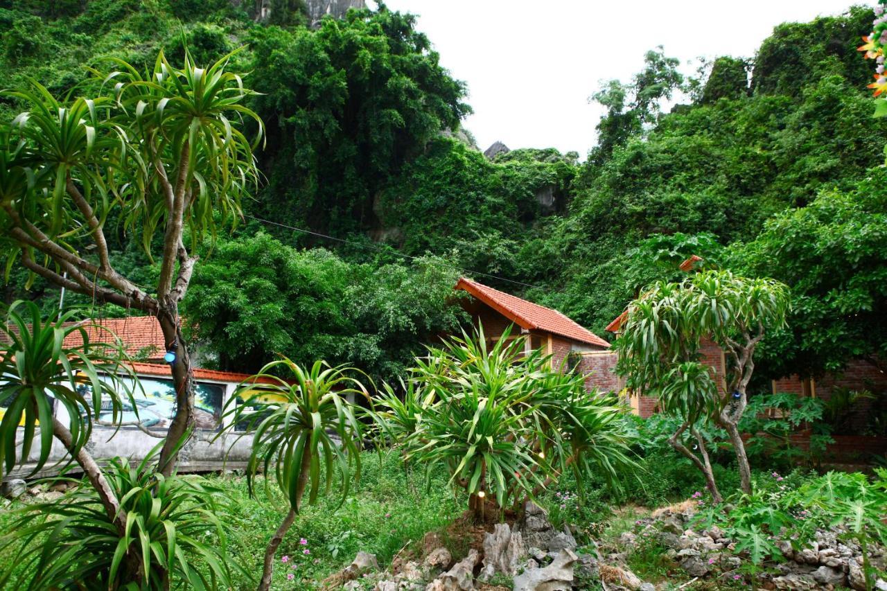Tam Coc Valley Homestay Ninh Bình Extérieur photo